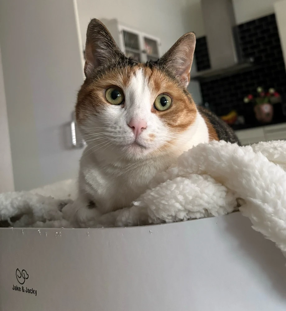 GIF uploaded by Naomi