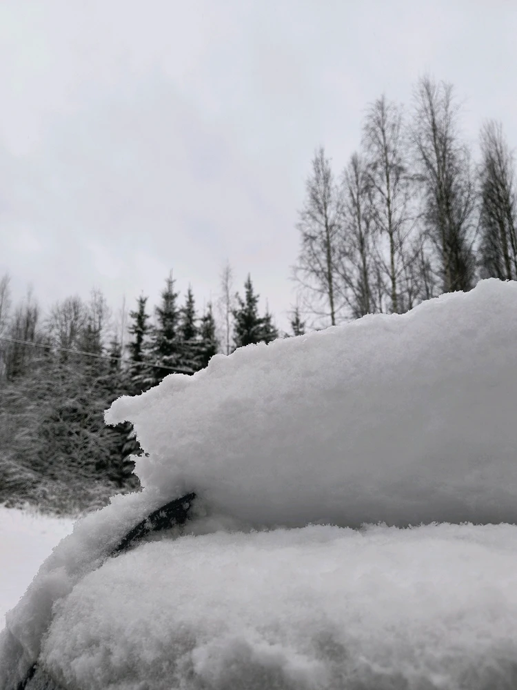 Image uploaded by Sulei