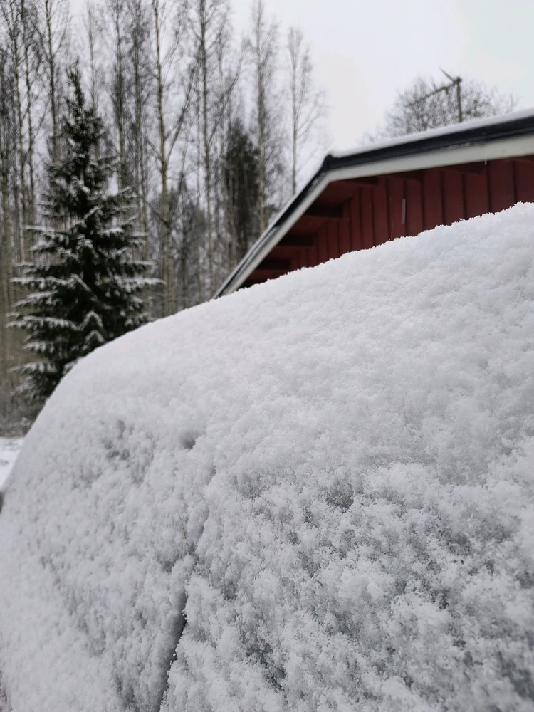 Image uploaded by Sulei