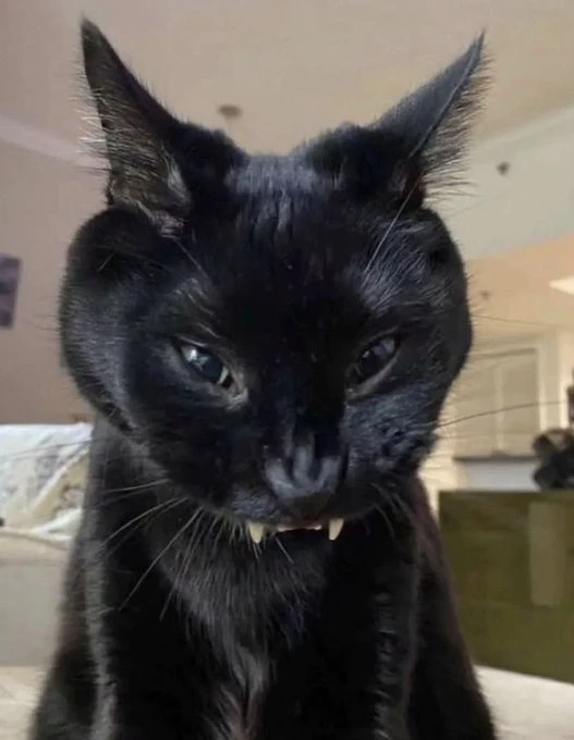 GIF uploaded by Telesto