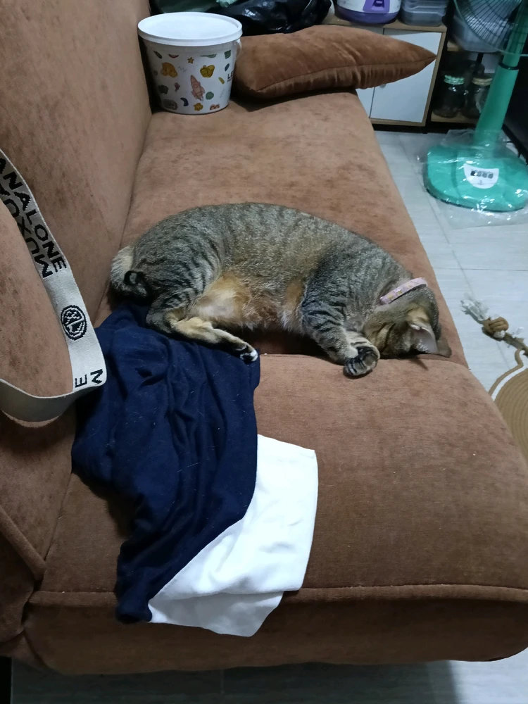 GIF uploaded by Maria