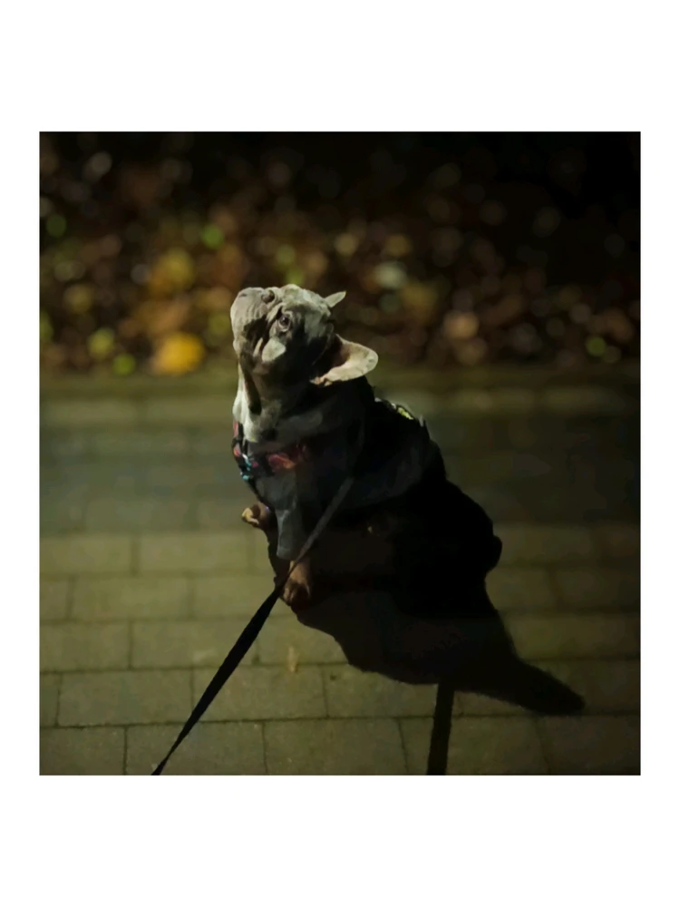 GIF загрузил Дима