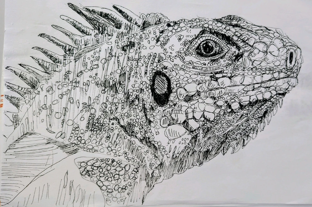 GIF uploaded by Mika