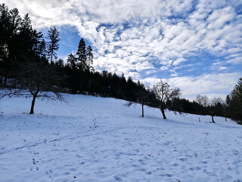 Bild hochgeladen von Kane