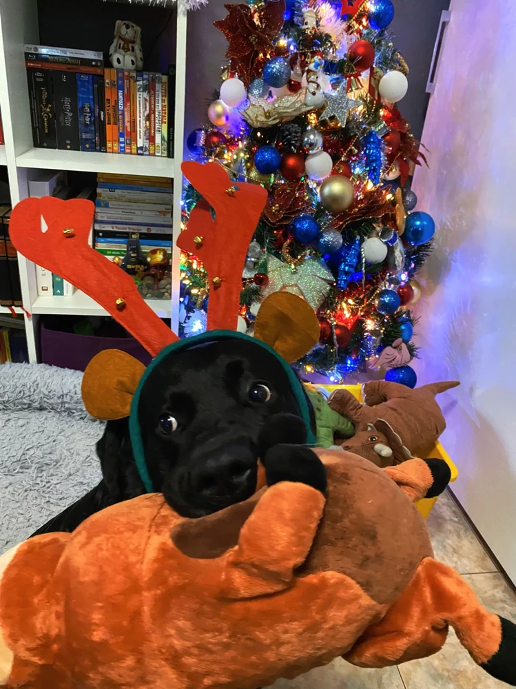 GIF caricata da Andrea