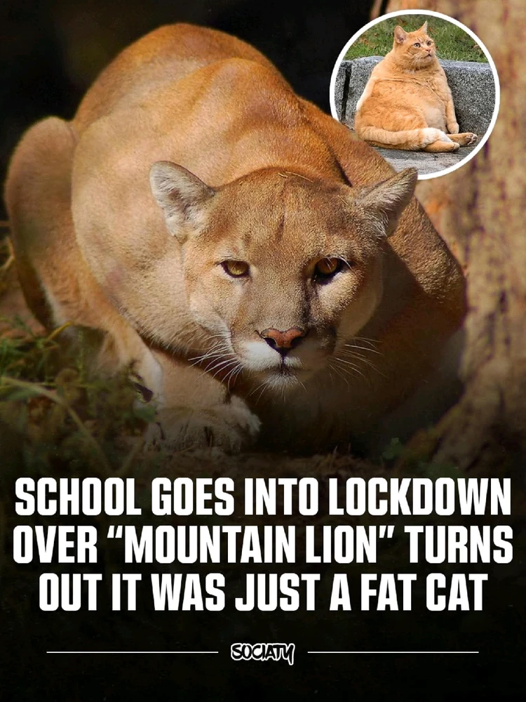 GIF uploaded by חן