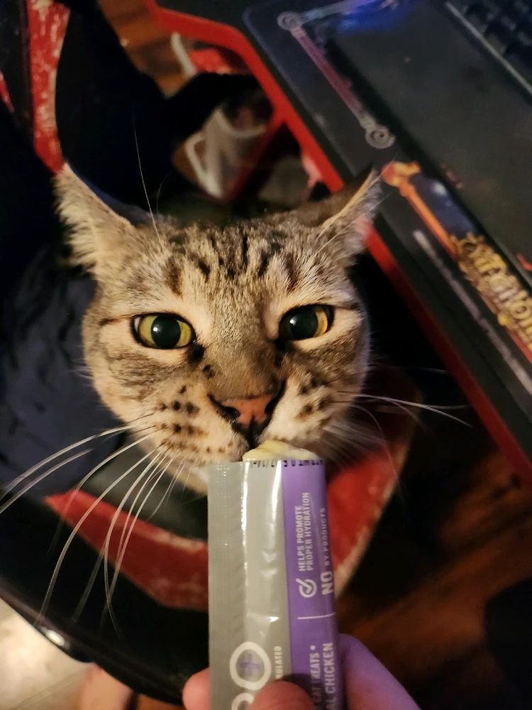 Image uploaded by Andy