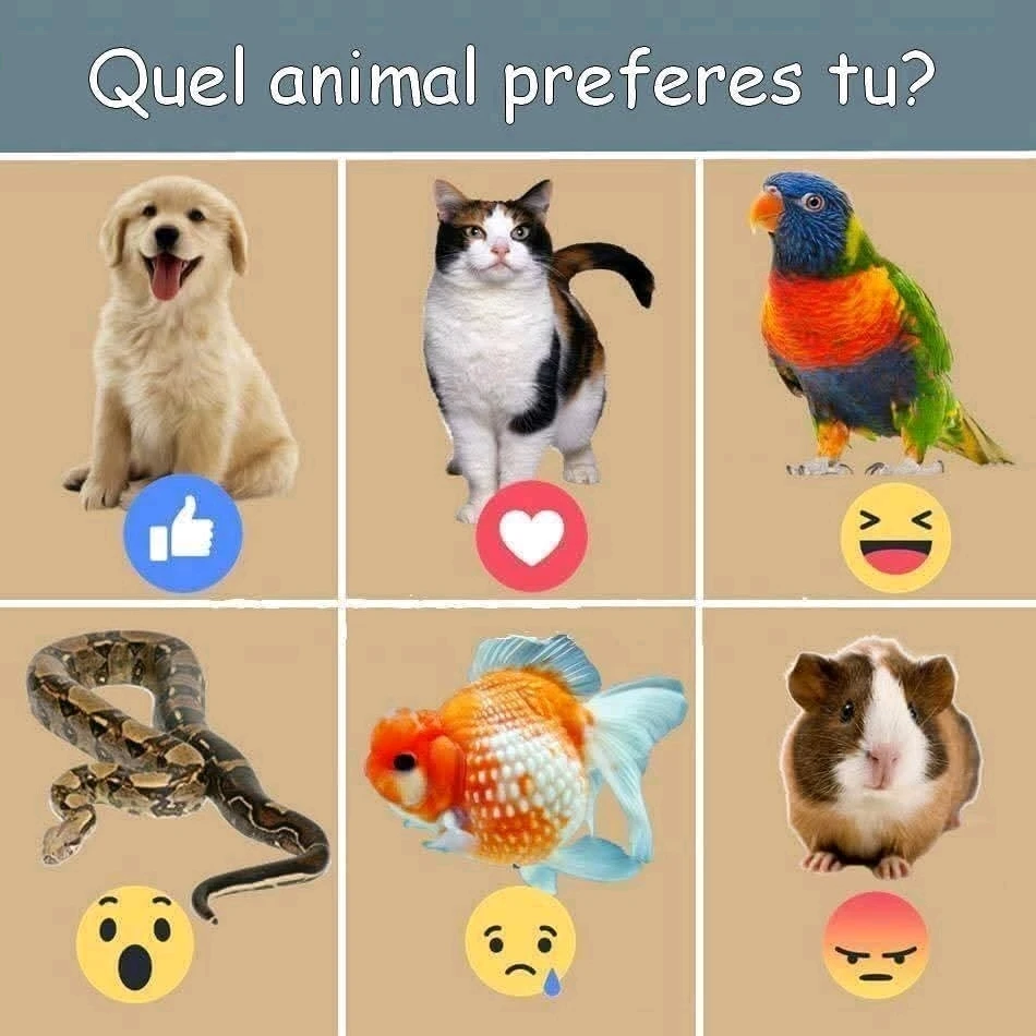 GIF ajouté par Stephe