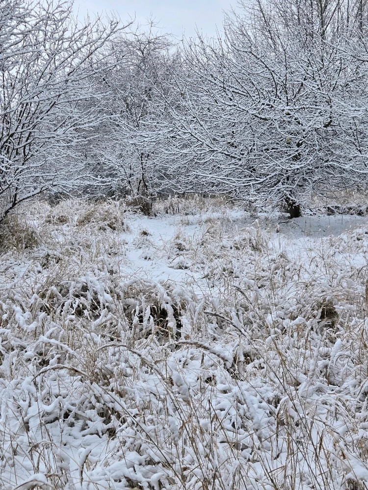 GIF uploaded by Jeremi