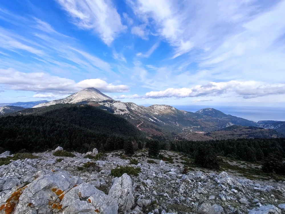Εικόνα από Ορέστης