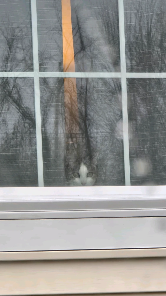 Image uploaded by Bruce