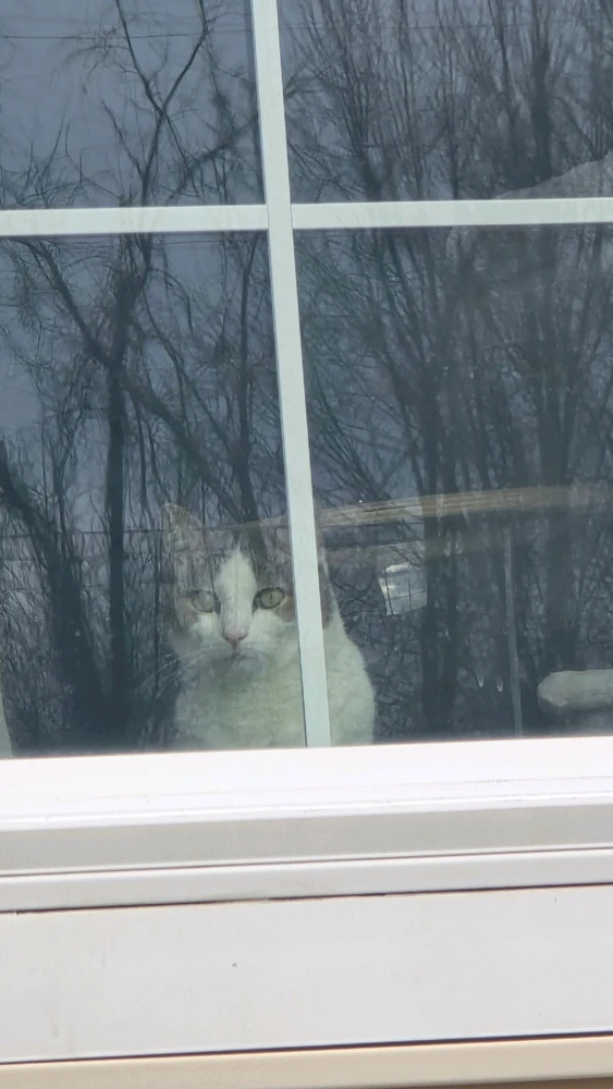 Image uploaded by Bruce