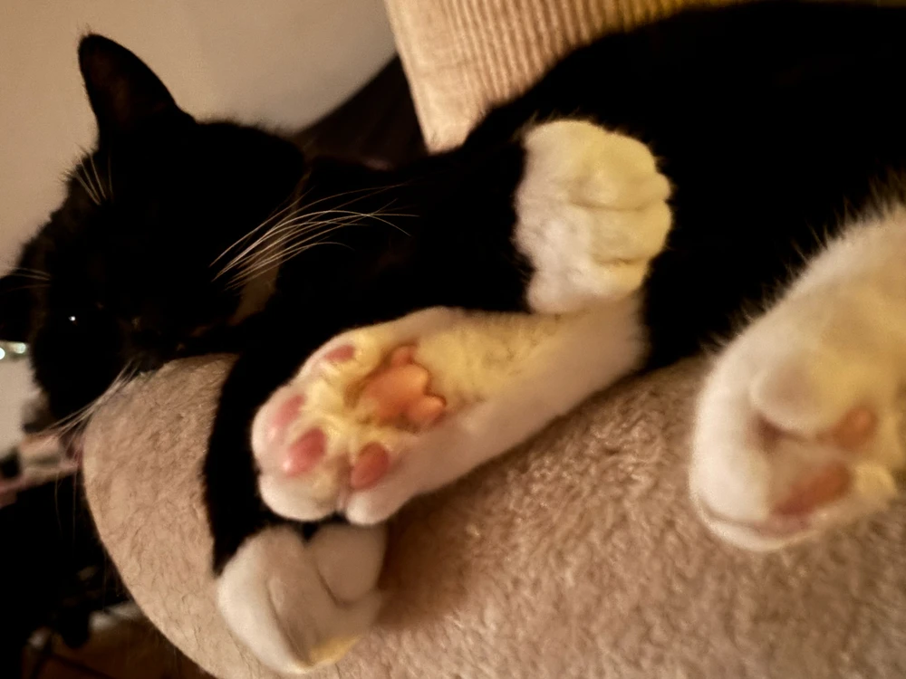 GIF uploaded by Alex