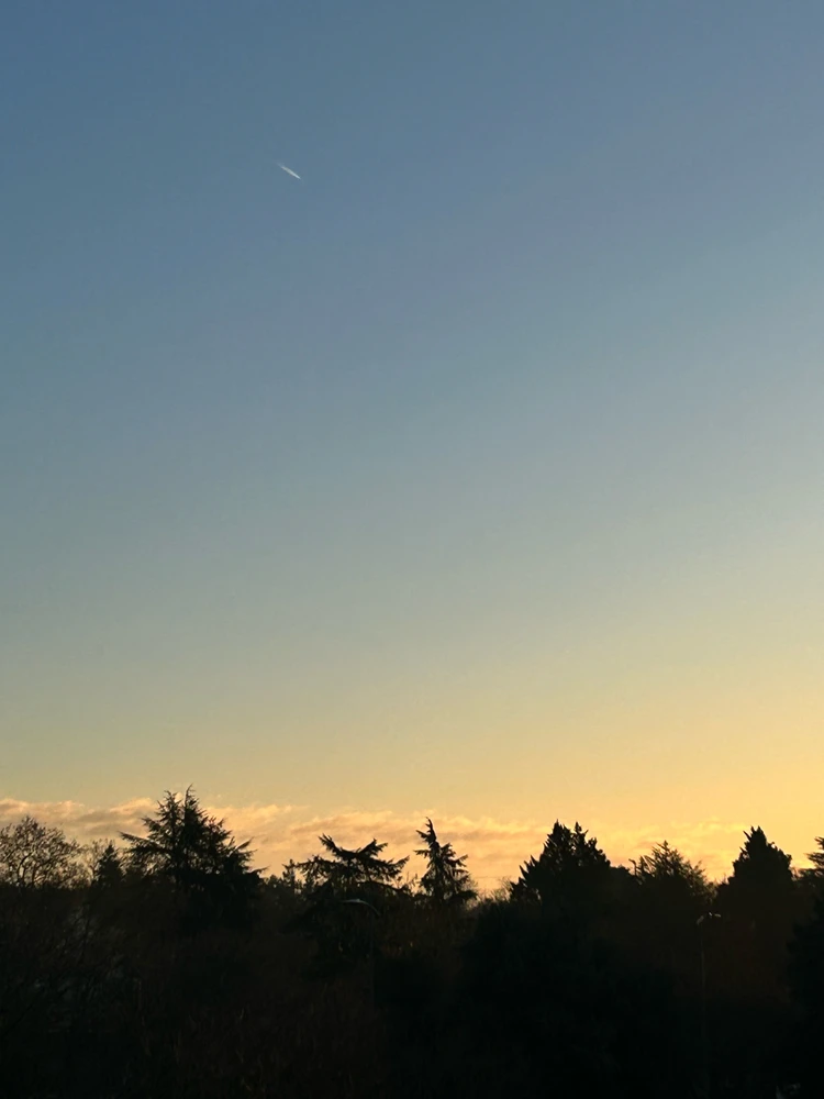 Image ajoutée par Lu