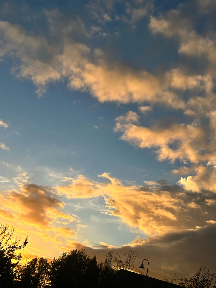 Image ajoutée par Lu