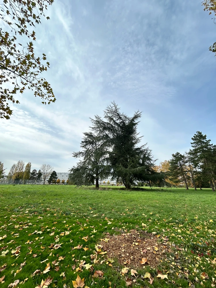 Image ajoutée par Lu