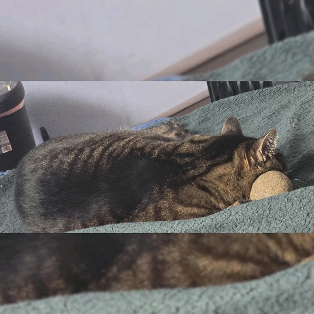 GIF uploaded by Tarik