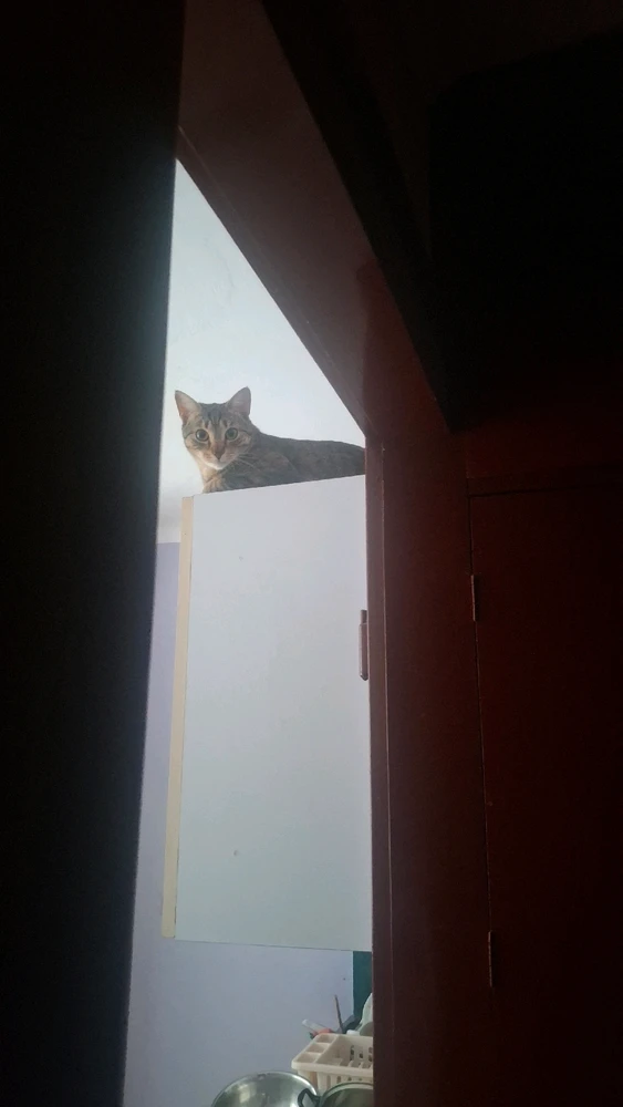 GIF dodany przez Norbert