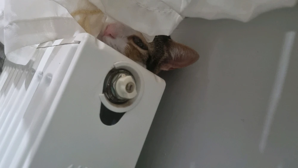 Mamilendiniz tarafından yüklenen GIF