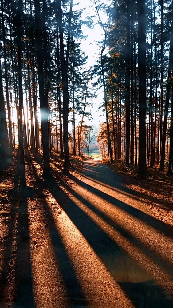 Obrázek nahrál Maa rtin