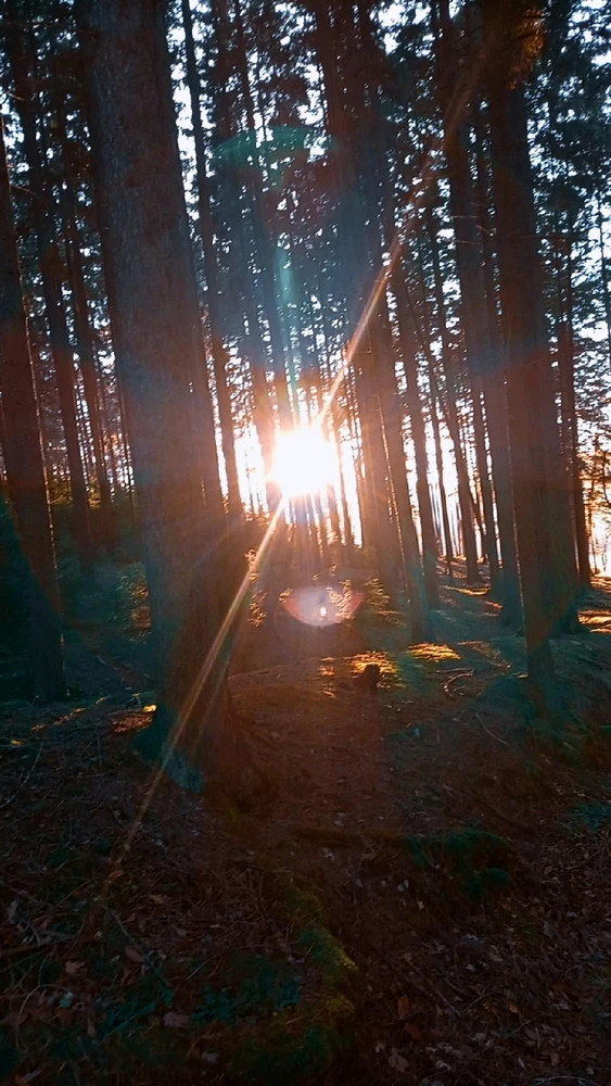 Obrázek nahrál Maa rtin