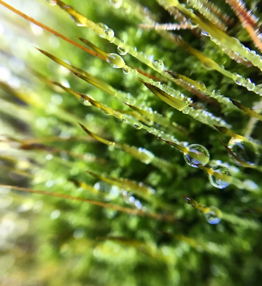 GIF uploaded by Chani