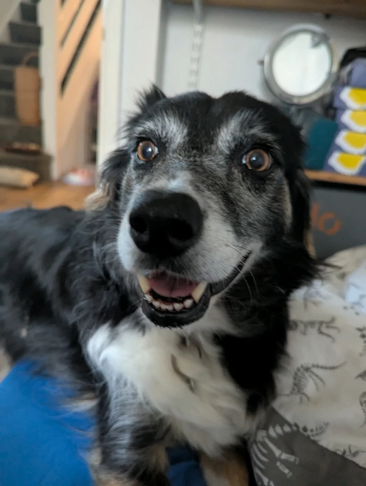 Image uploaded by Sami