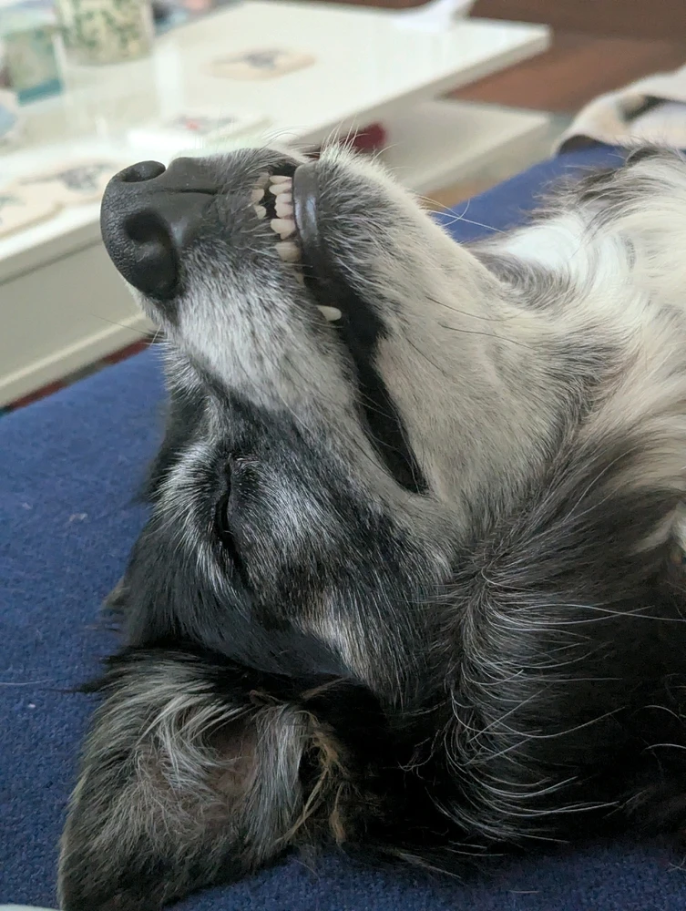 Image uploaded by Sami