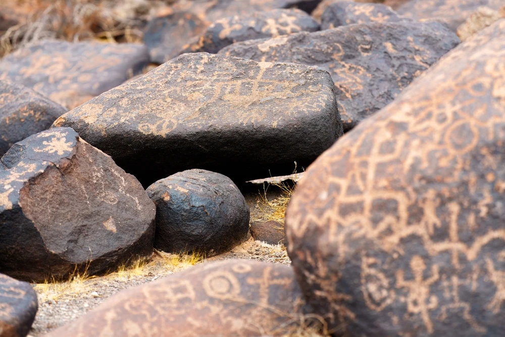 GIF uploaded by Jeramiah