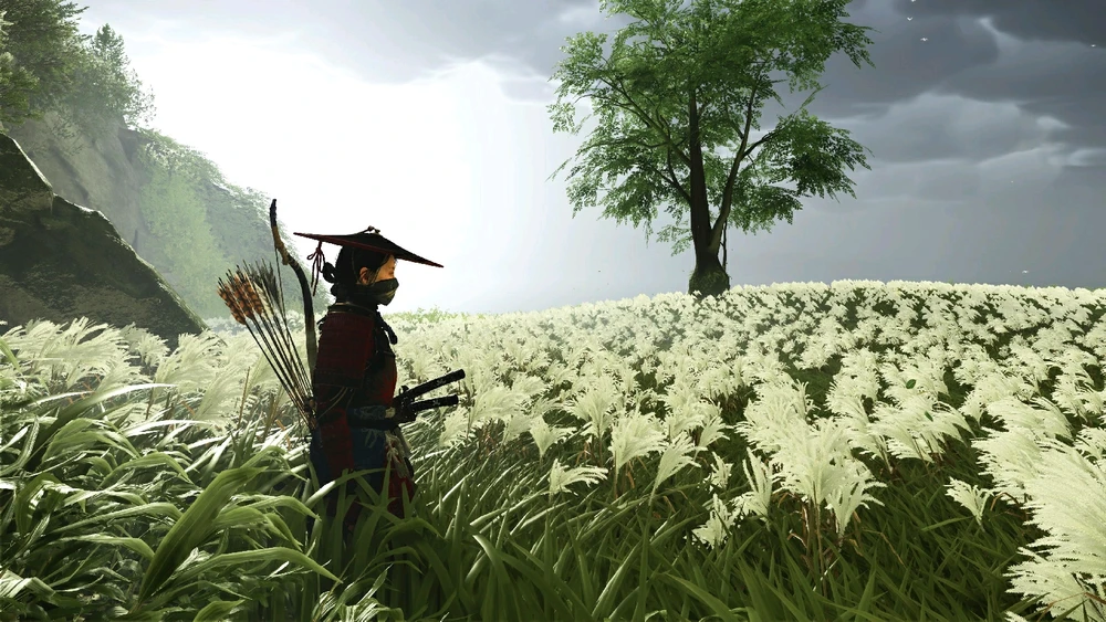 Фото загрузил Jan