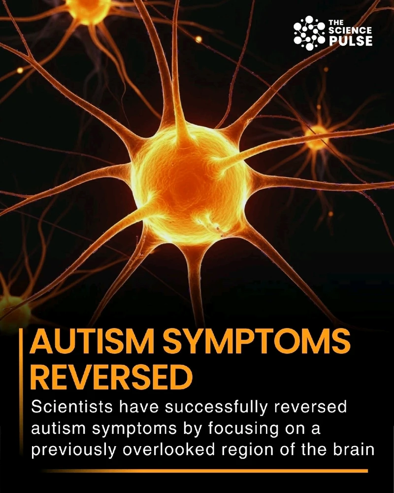 GIF uploaded by Neil