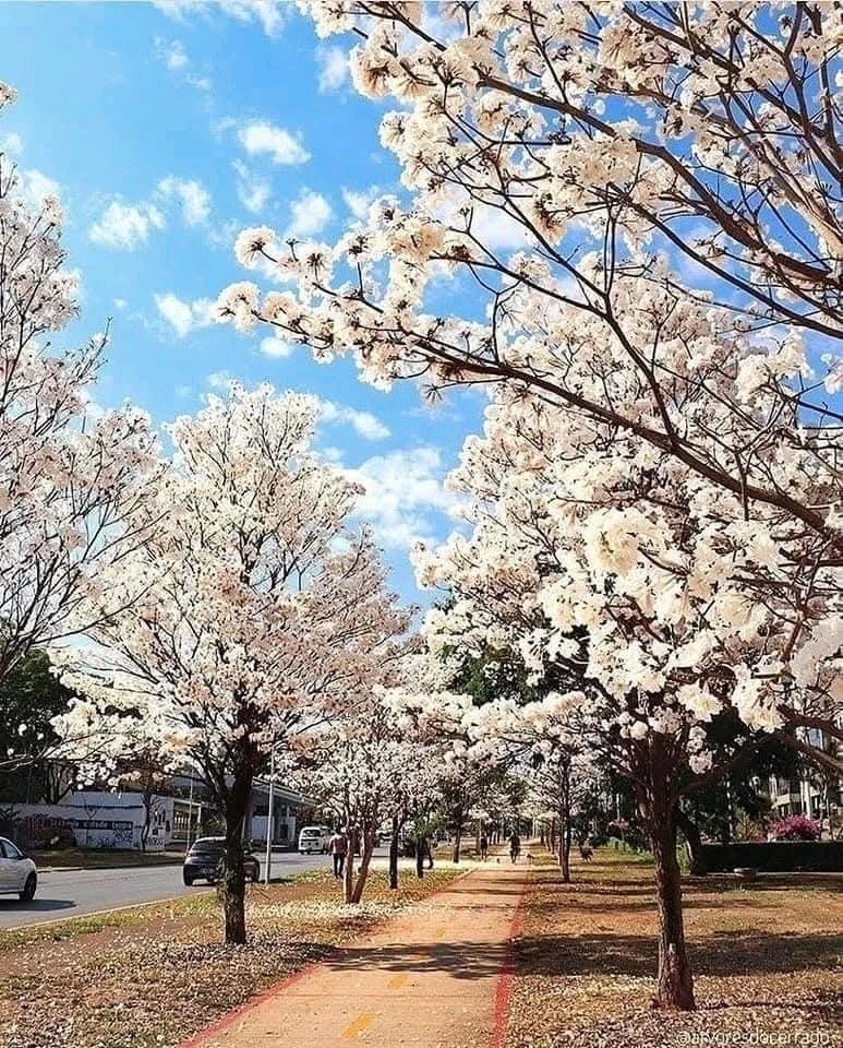 GIF uploaded by Guta