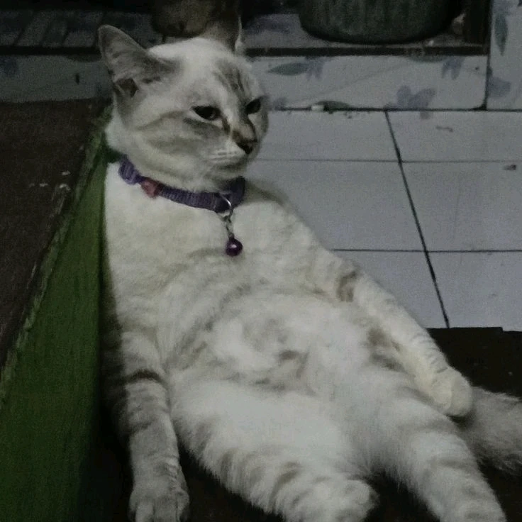 GIF diunggah oleh Ellda