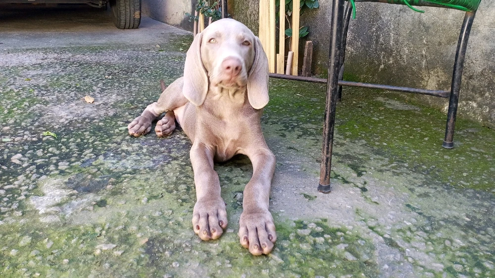 GIF enviado por Rayane Bax