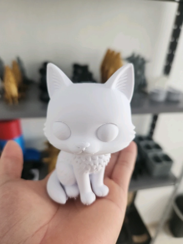 Imagem enviada por Eduardo Rodrigues