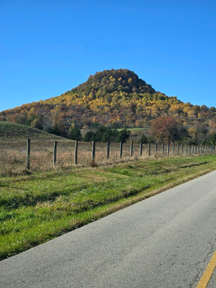 GIF uploaded by michael