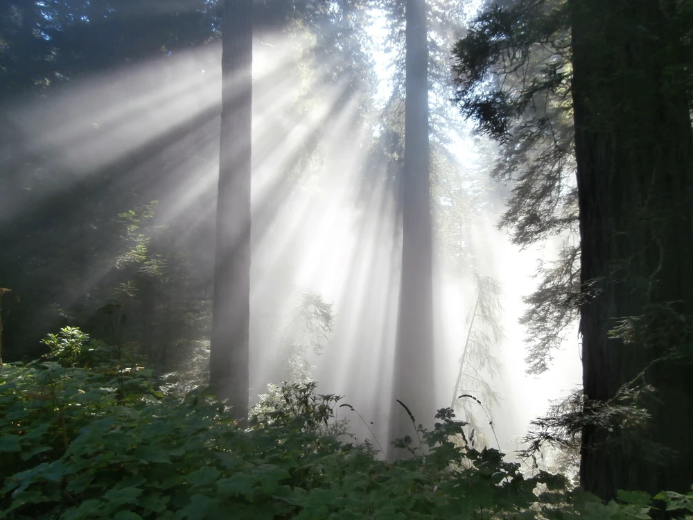 Image uploaded by Robbie