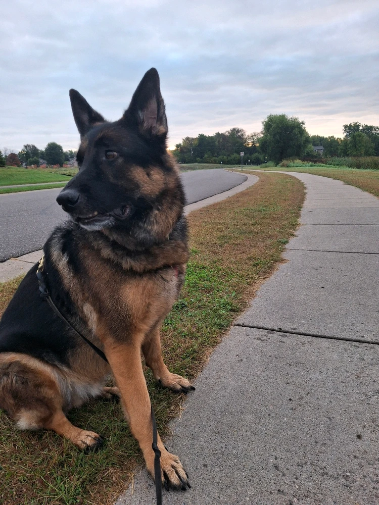 GIF uploaded by Chris