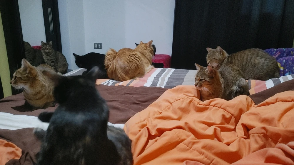 GIF uploaded by ❤ Sophia aka Mango Mami ❤️