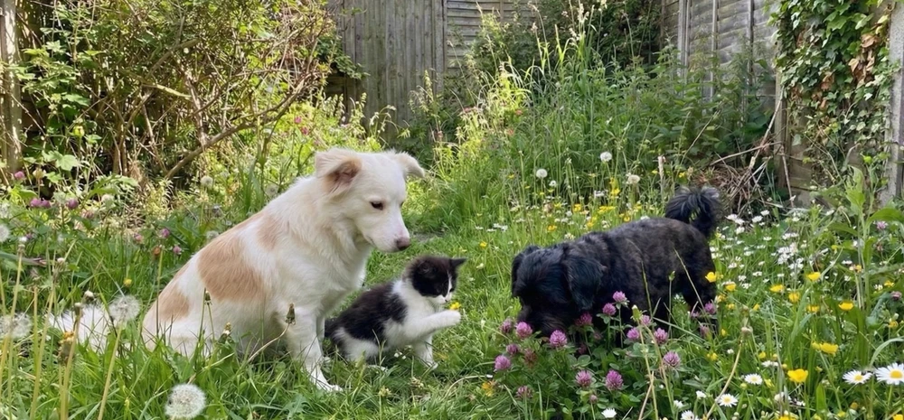 GIF diunggah dening <3