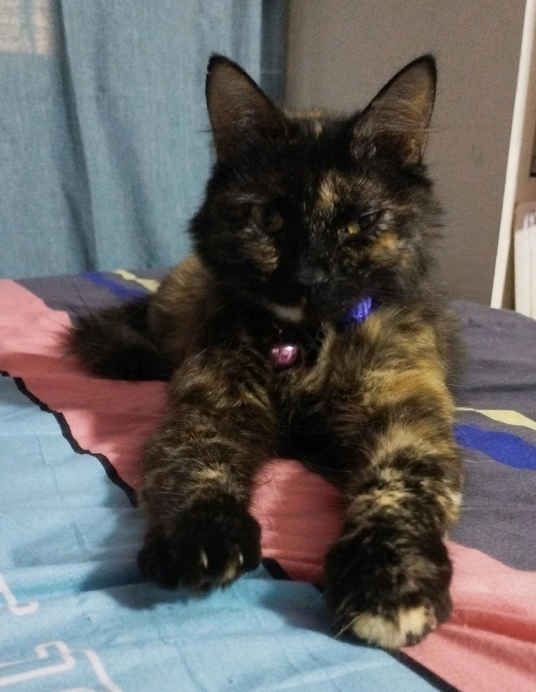 Imagen subida por Naz