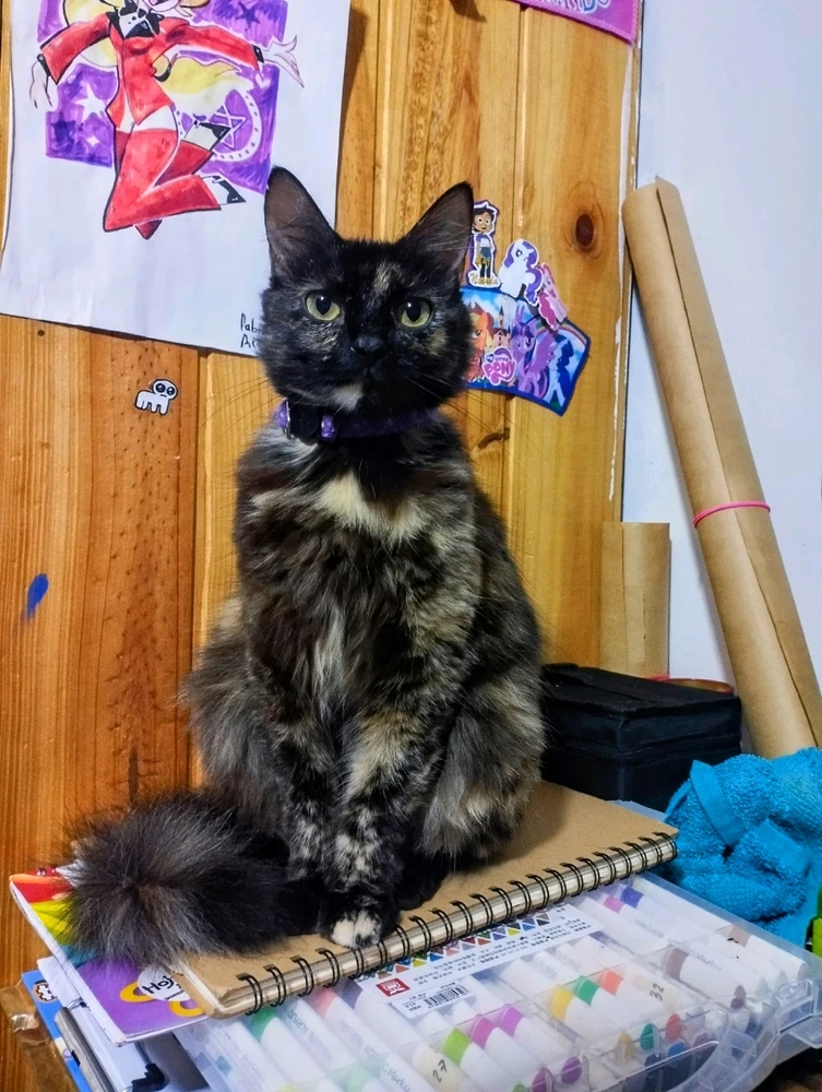 Imagen subida por Naz