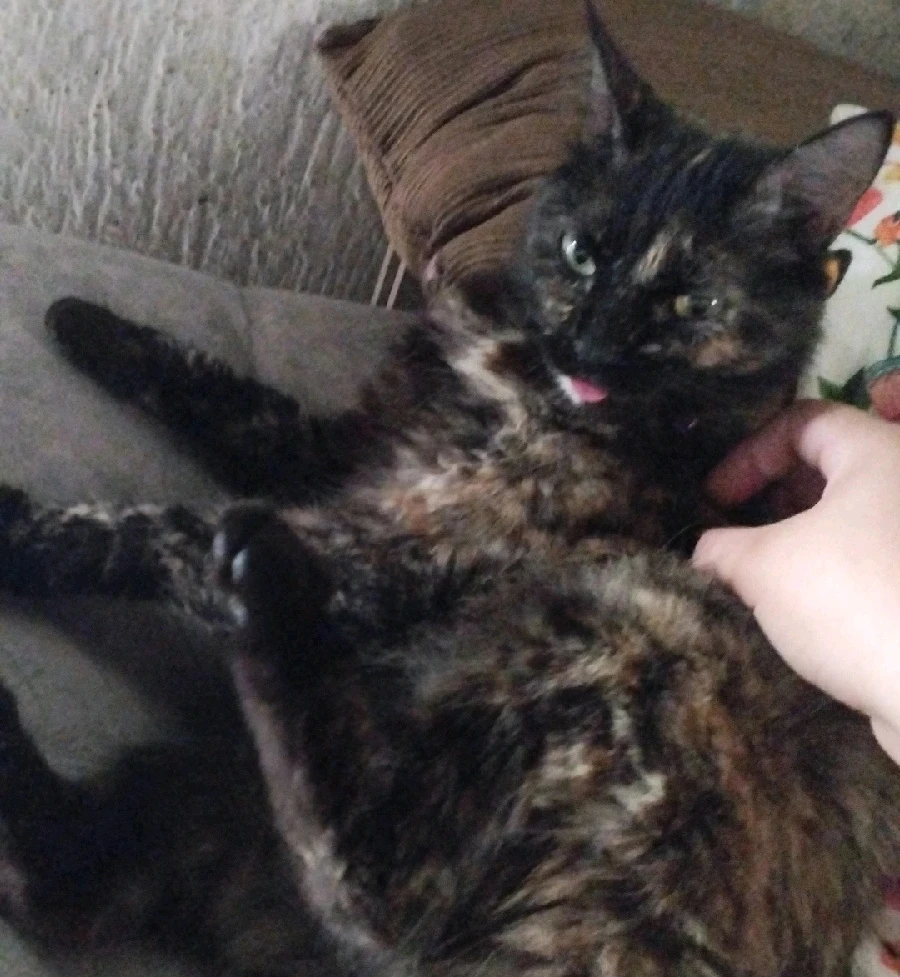 Imagen subida por Naz