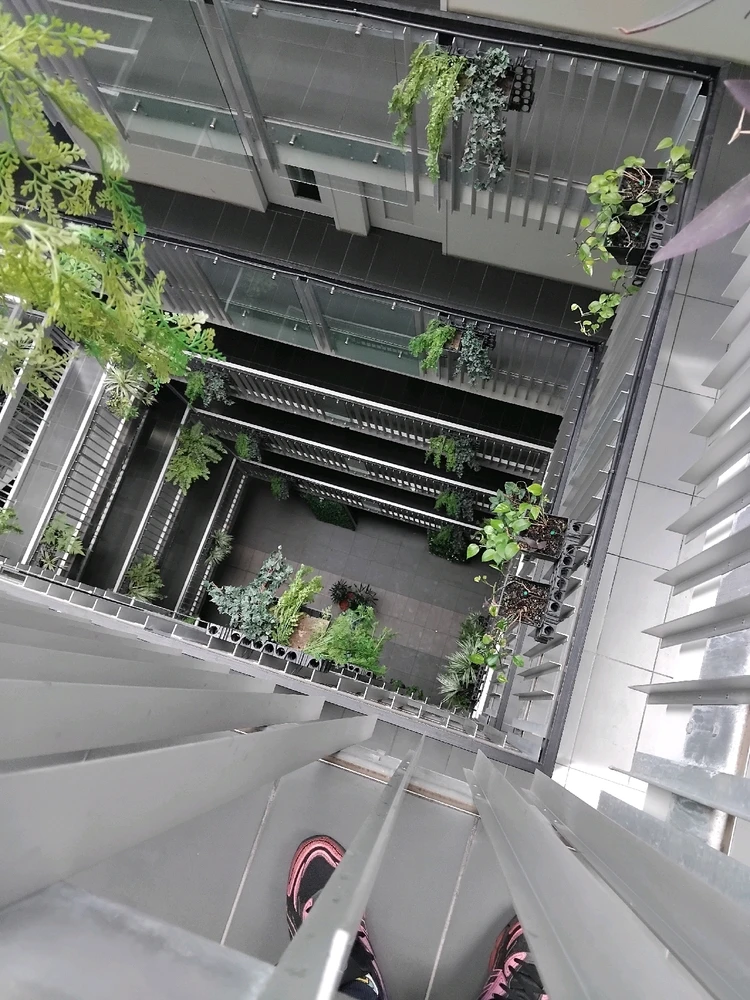 Image uploaded by Sam