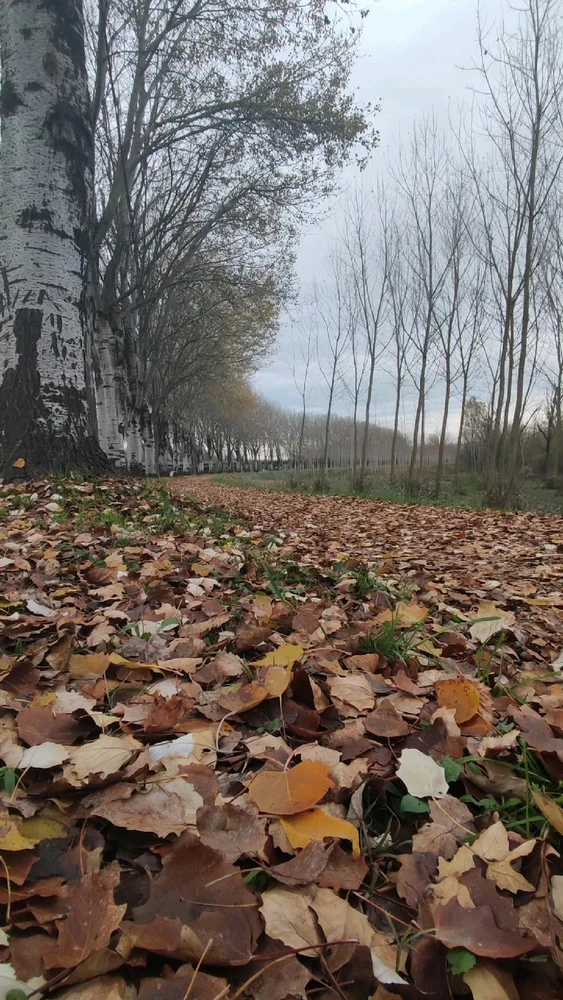 Immagine caricata da Dave