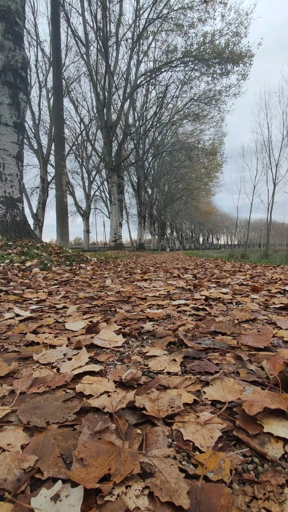 Immagine caricata da Dave