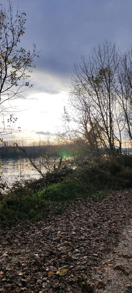 Immagine caricata da Dave