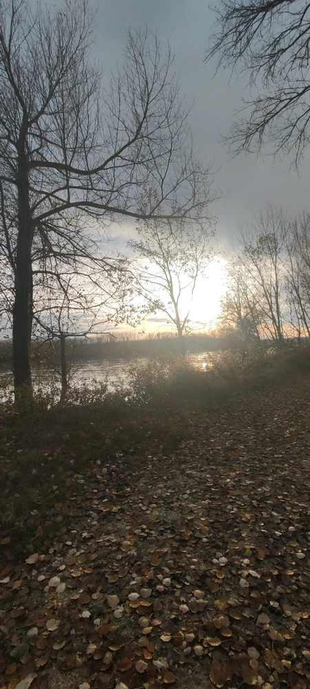 Immagine caricata da Dave