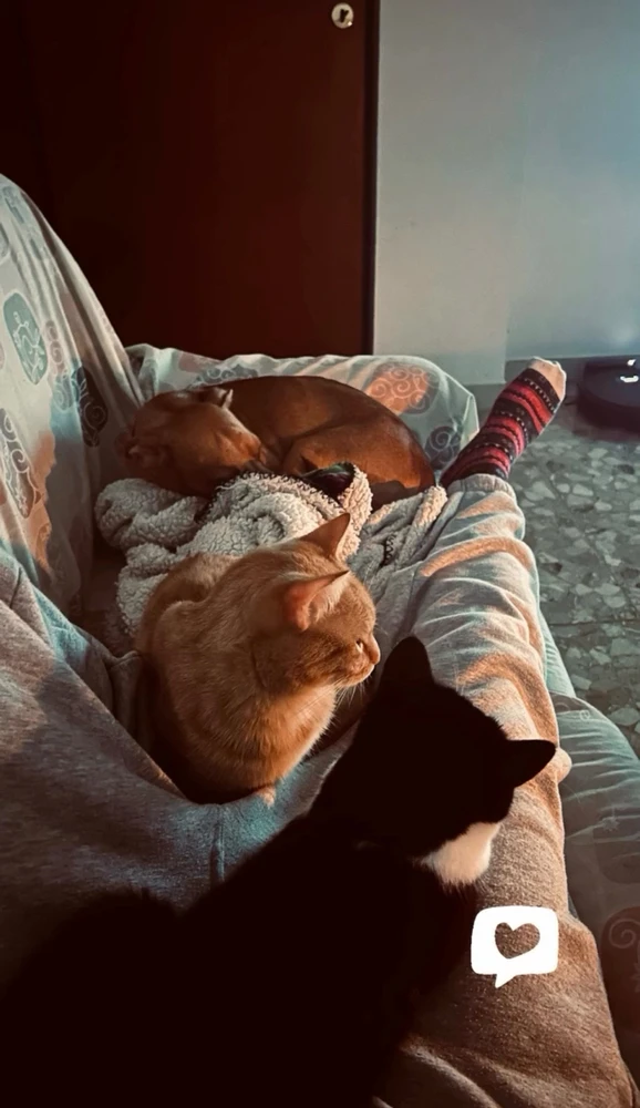 GIF caricata da Edoardo