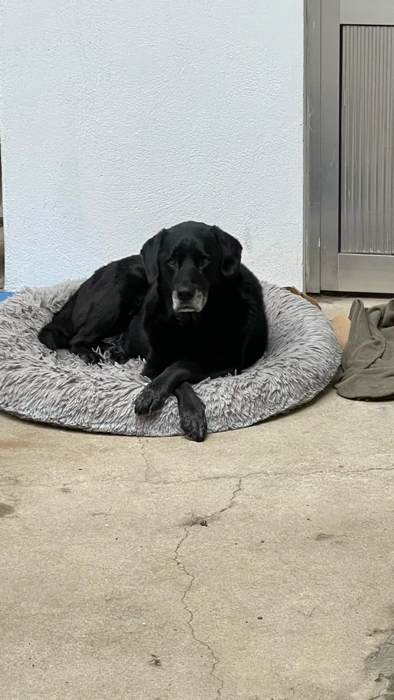 GIF enviado por Filipe